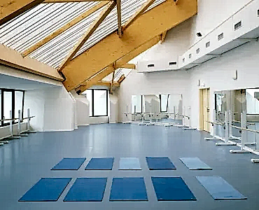  Taraflex™ Surface