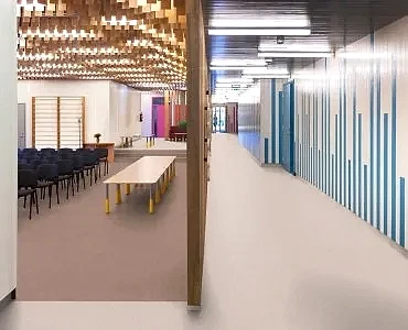  VYLON PLUS